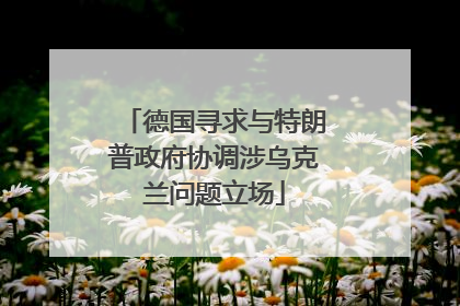 德国寻求与特朗普政府协调涉乌克兰问题立场