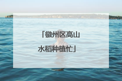 徽州区高山水稻种植忙