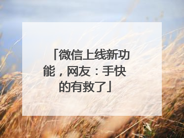 微信上线新功能，网友：手快的有救了