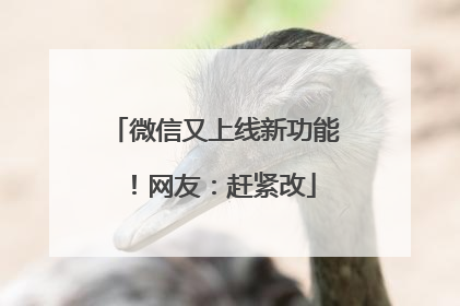 微信又上线新功能！网友：赶紧改