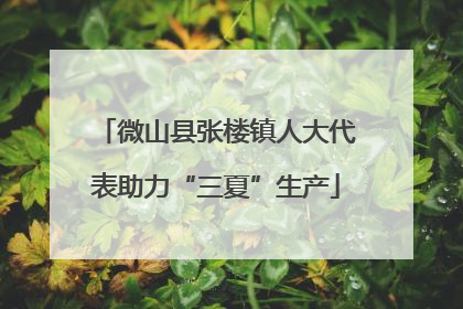 微山县张楼镇人大代表助力“三夏”生产