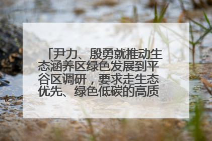 尹力、殷勇就推动生态涵养区绿色发展到平谷区调研，要求走生态优先、绿色低碳的高质量发展之路