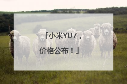 小米YU7，价格公布！