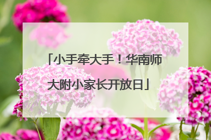 小手牵大手！华南师大附小家长开放日