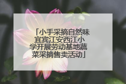 小手采摘自然味 宜宾江安西江小学开展劳动基地蔬菜采摘售卖活动