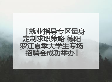 就业指导专区量身定制求职策略 德阳罗江夏季大学生专场招聘会成功举办