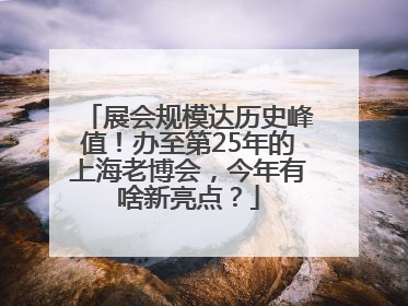 展会规模达历史峰值！办至第25年的上海老博会，今年有啥新亮点？