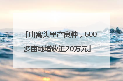 山窝头里产良种，600多亩地增收近20万元