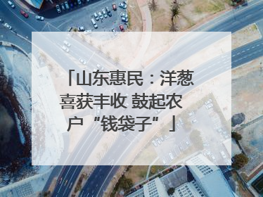 山东惠民：洋葱喜获丰收 鼓起农户“钱袋子”
