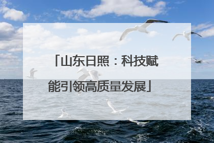 山东日照：科技赋能引领高质量发展