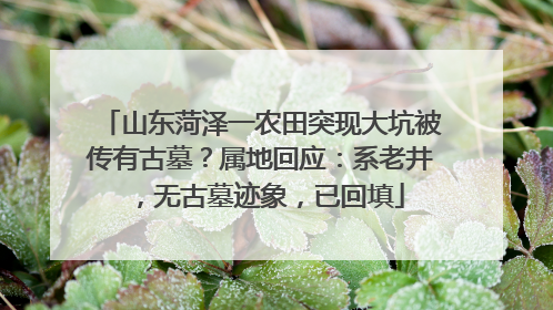 山东菏泽一农田突现大坑被传有古墓？属地回应：系老井，无古墓迹象，已回填