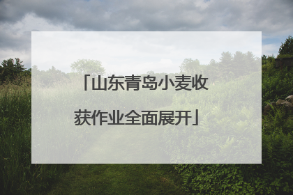 山东青岛小麦收获作业全面展开