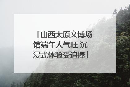 山西太原文博场馆端午人气旺 沉浸式体验受追捧