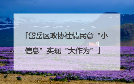 岱岳区政协社情民意“小信息”实现“大作为”