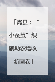 嵩县：“小蚕茧”织就助农增收新画卷