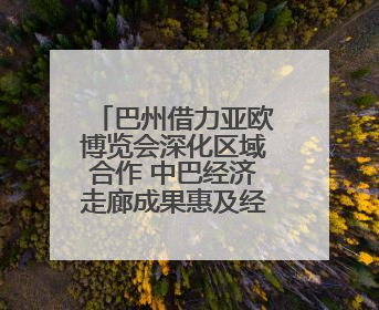 巴州借力亚欧博览会深化区域合作 中巴经济走廊成果惠及经贸发展