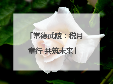 常德武陵：税月童行 共筑未来