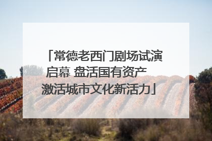 常德老西门剧场试演启幕 盘活国有资产 激活城市文化新活力