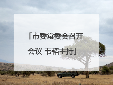市委常委会召开会议 韦韬主持