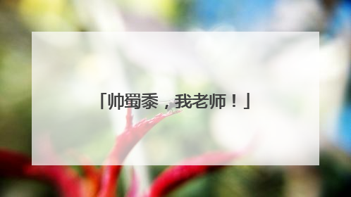 帅蜀黍，我老师！