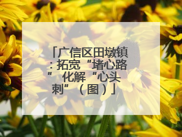 广信区田墩镇：拓宽“堵心路” 化解“心头刺”（图）
