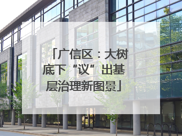 广信区：大树底下“议”出基层治理新图景