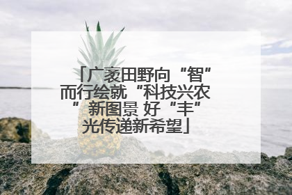 广袤田野向“智”而行绘就“科技兴农”新图景 好“丰”光传递新希望