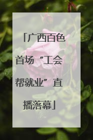广西百色首场“工会帮就业”直播落幕