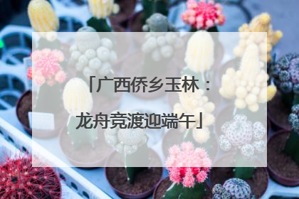 广西侨乡玉林：龙舟竞渡迎端午