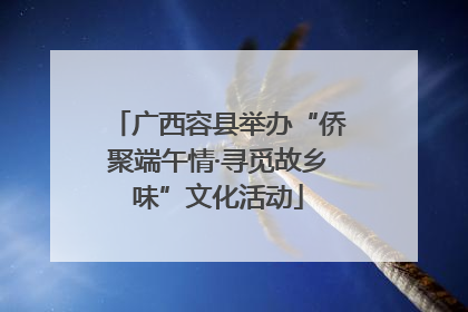 广西容县举办“侨聚端午情·寻觅故乡味”文化活动