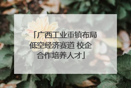 广西工业重镇布局低空经济赛道 校企合作培养人才