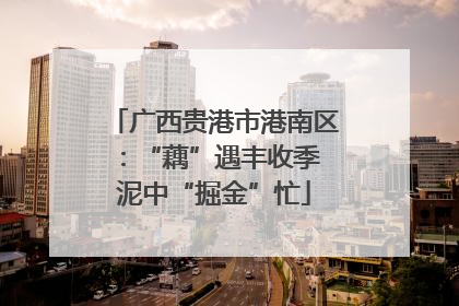 广西贵港市港南区：“藕”遇丰收季 泥中“掘金”忙