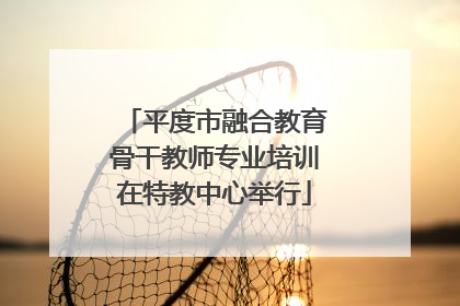 平度市融合教育骨干教师专业培训在特教中心举行