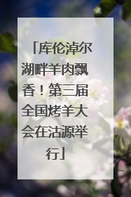 库伦淖尔湖畔羊肉飘香！第三届全国烤羊大会在沽源举行
