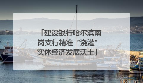 建设银行哈尔滨南岗支行精准“浇灌”实体经济发展沃土