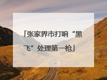 张家界市打响“黑飞”处理第一枪