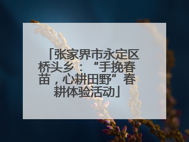 张家界市永定区桥头乡：“手挽春苗，心耕田野”春耕体验活动