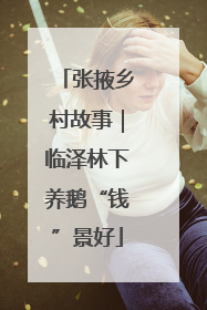 张掖乡村故事｜临泽林下养鹅“钱”景好
