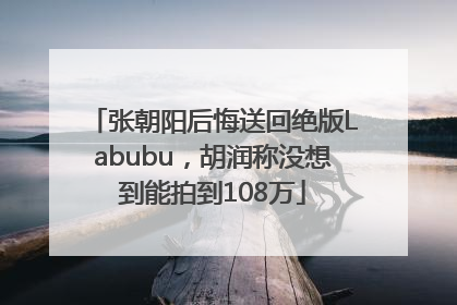 张朝阳后悔送回绝版Labubu，胡润称没想到能拍到108万