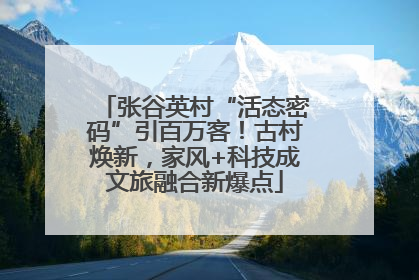 张谷英村“活态密码”引百万客！古村焕新，家风+科技成文旅融合新爆点