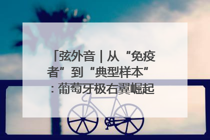 弦外音｜从“免疫者”到“典型样本”：葡萄牙极右翼崛起背后的欧洲困局