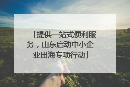 提供一站式便利服务，山东启动中小企业出海专项行动