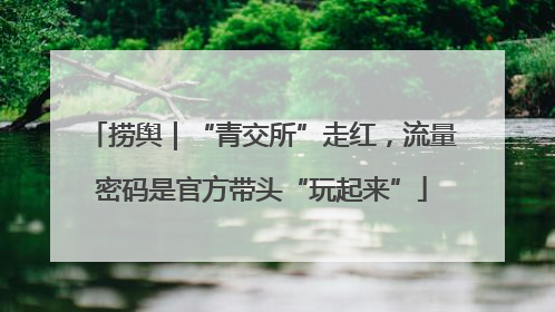 捞舆｜“青交所”走红，流量密码是官方带头“玩起来”