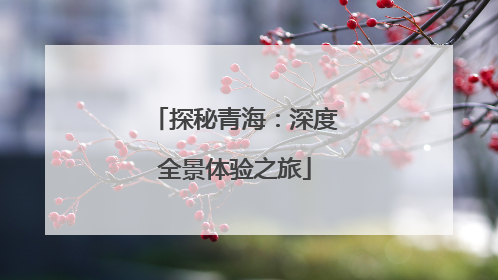 探秘青海：深度全景体验之旅