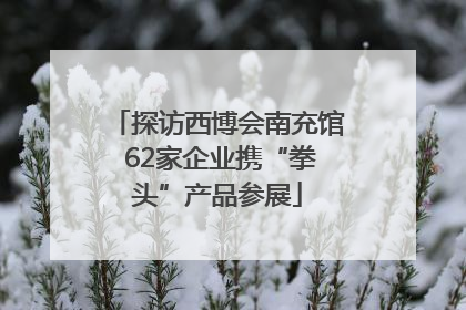 探访西博会南充馆 62家企业携“拳头”产品参展