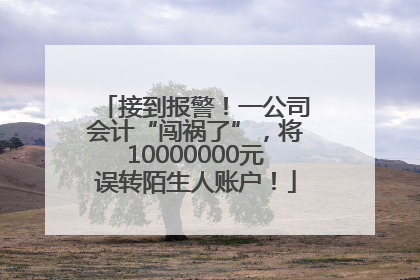 接到报警！一公司会计“闯祸了”，将10000000元误转陌生人账户！