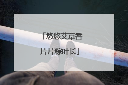 悠悠艾草香 片片粽叶长