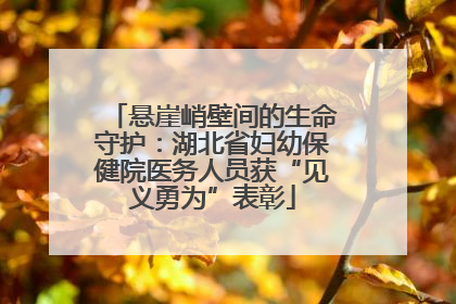 悬崖峭壁间的生命守护：湖北省妇幼保健院医务人员获“见义勇为”表彰