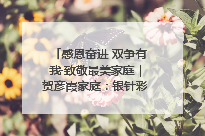 感恩奋进 双争有我·致敬最美家庭｜贺彦霞家庭：银针彩线绣出好日子