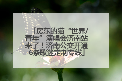 房东的猫“世界/青年”演唱会济南站来了！济南公交开通6条歌迷定制专线